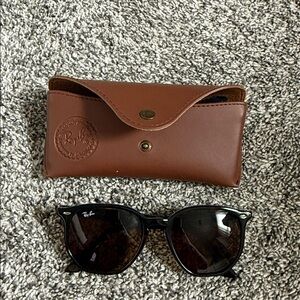 Ray Ban Erika Tortoise Brown Sunglasses New